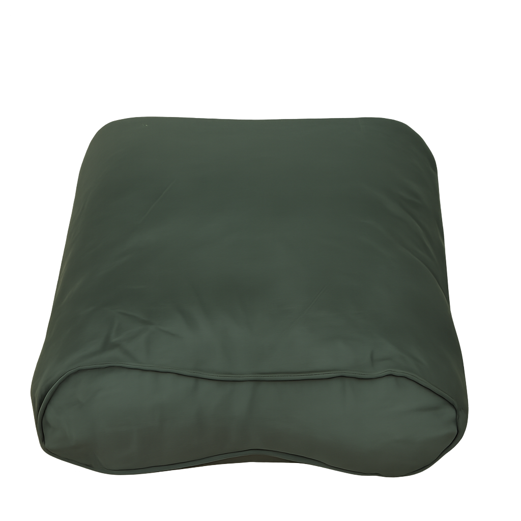 Carp Fishing Box Pillow