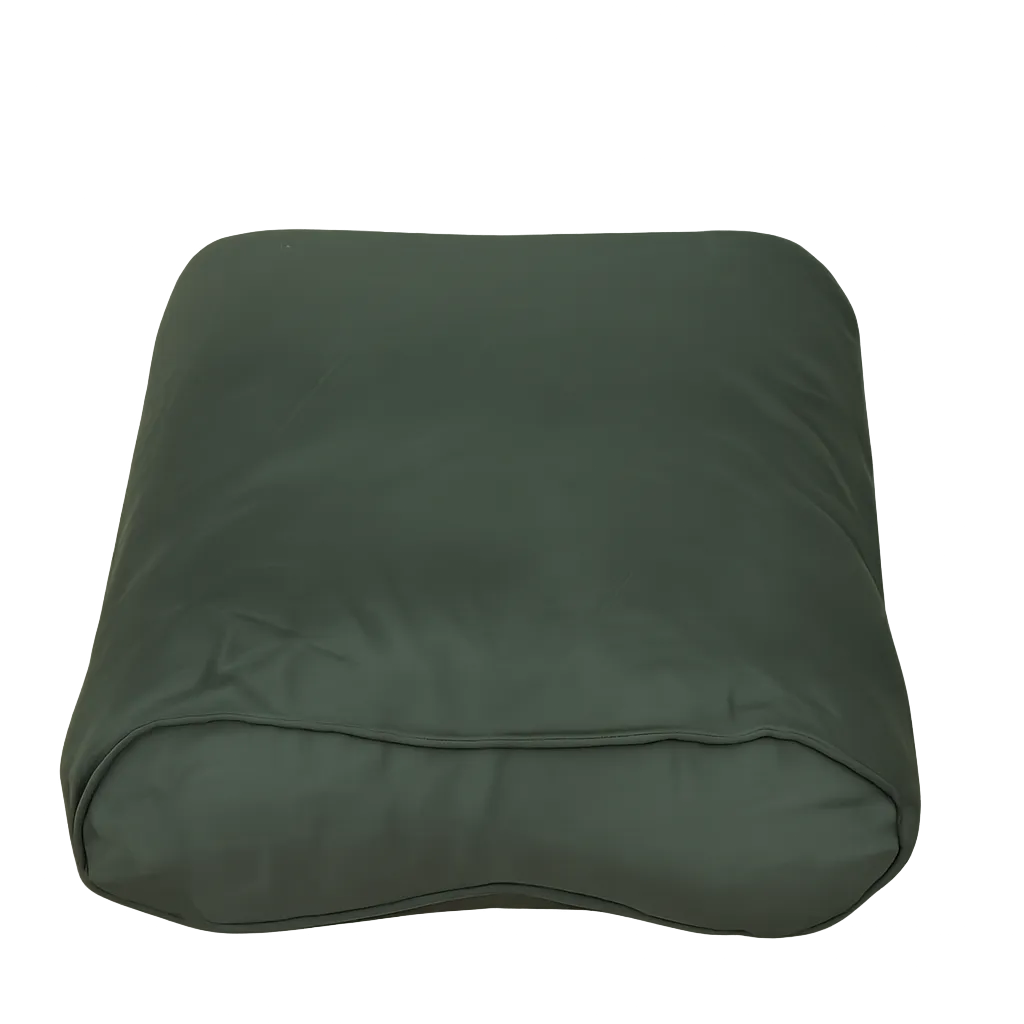 Carp Fishing Box Pillow