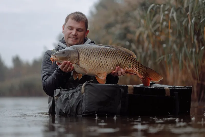 carp fishing barrow trolley , photo from Pexels