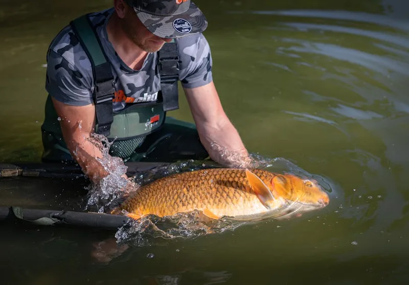 carp fishing umbrella brolly , photo from Pexels