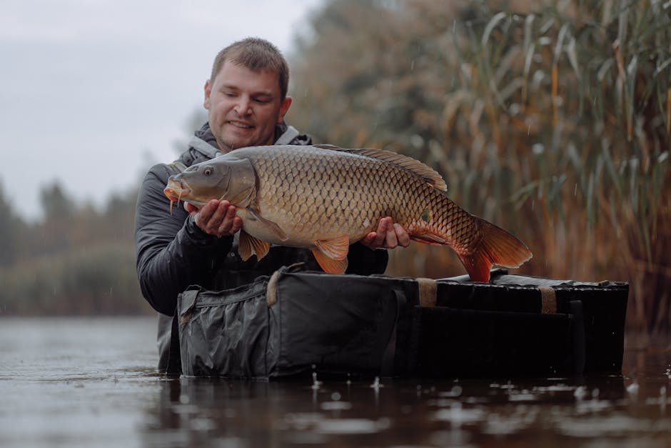 carp angler waterside setup for fishing chair retailers