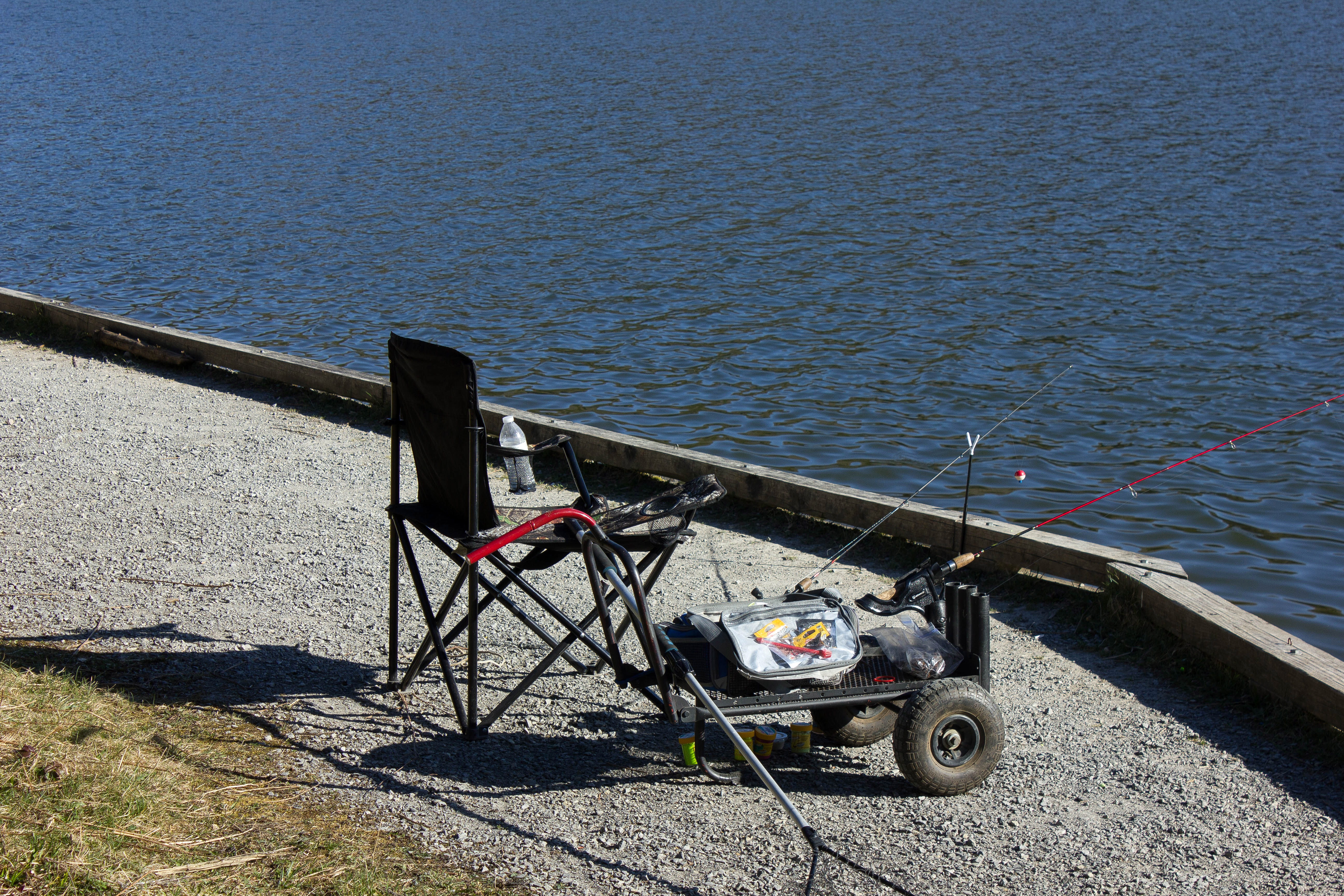 Complete carp fishing starter kit with rods, reels, and accessories displayed on lake bank - perfect for beginner anglers