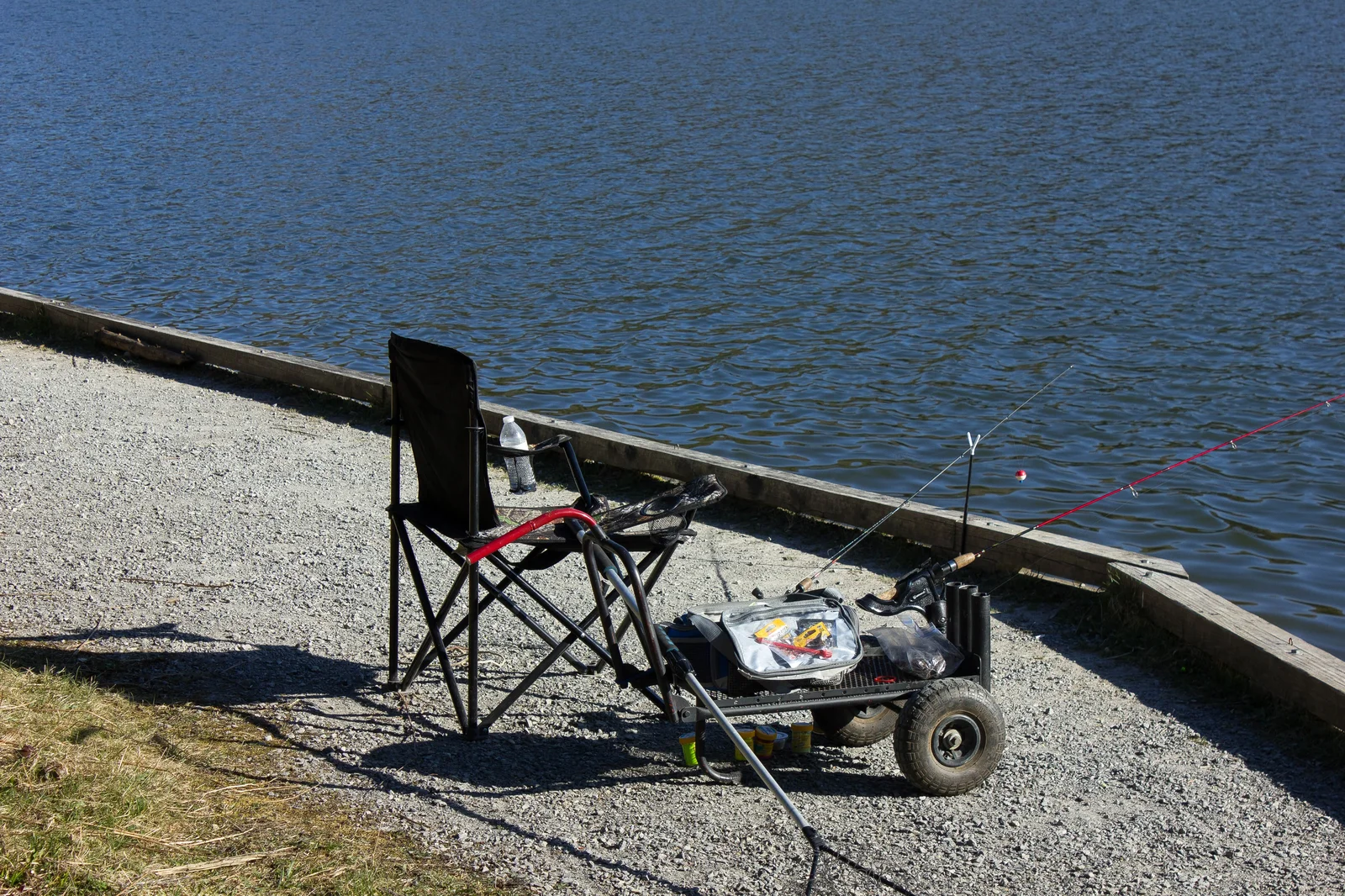 Kit de démarrage complet de pêche à la carpe avec cannes, moulinets et accessoires affichés sur la berge d'un lac—parfait pour les pêcheurs débutants